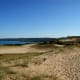 Dune grass prevents wind erosion of the dunes