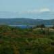 Forests and fresh water