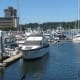 The marina