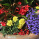 One of the many flower pots on the pier
