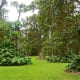 The lush arboretum