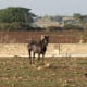 bb-review-villa-quartarella-modica-sicily