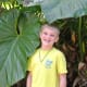 Giant philodendrum leaf - Waimea Valley, Oahu