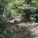 Stream running through the Waimea Falls Park