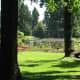 A view from the Shakespeare garden