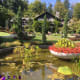 The pond in front of the pavilion