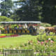 Another horse drawn carriage