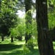 Inside the Shakespeare garden