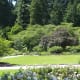 A view of the landscaped area near the rose garden