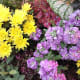 the-bloedel-conservatory-in-vancouver-a-photo-tour