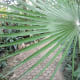 the-bloedel-conservatory-in-vancouver-a-photo-tour