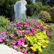 A closer view of a flower bed