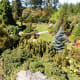 Lovely photos of the quarry plants can be taken above a quarry garden and within it.