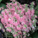 the-bloedel-conservatory-in-vancouver-a-photo-tour