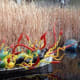 Floating Glass Chihuly Sculptures