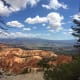 A view of the canyon framed by the snag on the left and a living tree on the right