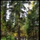 lake-superiors-scenic-north-shore