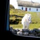 Inishmore, Aran Islands, Ireland