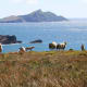 Ring of Kerry, Ireland