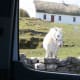 Inishmore, Aran Islands, Ireland