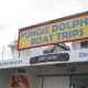 Fungie Boat Trips, Dingle, Ireland