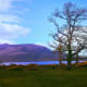 Killarney National Park, Ireland