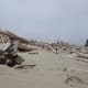 With a large supply of driftwood that has washed ashore, it's time to build some shelters.
