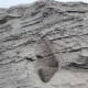 All of the designs in these rocks made it clear that plants, rocks, shells and other ocean material shaped them.