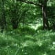 wwoofing-at-my-age
