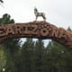 Bearizon in Williams, Arizona is a great drive-through adventure. Don't forget to do the walk-through portion and stop by the gift shop, too. Your dog can do the drive-through portion of the zoo. They are not allowed in the walk-through.