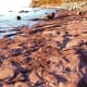 Presque Isle Park in Marquette, Michigan