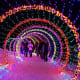Garden of Lights at the Green Bay Botanical Gardens in Green Bay, Wisconsin