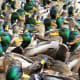 Ducks at Bay Beach Wildlife Sanctuary at Green Bay, Wisconsin