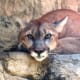 Bay Beach Wildlife Sanctuary at Green Bay, Wisconsin