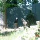 Eagles at Busch Gardens, 2007