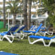 The sunbed area.