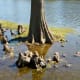 burroughs-park-fabulous-320-acre-park-in-tomball-texas