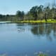 The lake in Burroughs Park