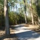 Paved trail in Burroughs Park