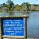 Fish that are in the lake