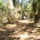 Nature trail in Burroughs Park