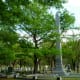 View of the cemetery