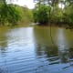 Marshall Lake