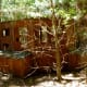 Bird blind