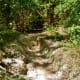Rustic Trail