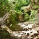 Rustic Trail