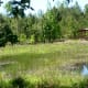 Looking across at the outdoor classroom