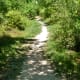 Trail