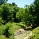 View of Cypress Creek