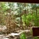 View looking out from bird blind